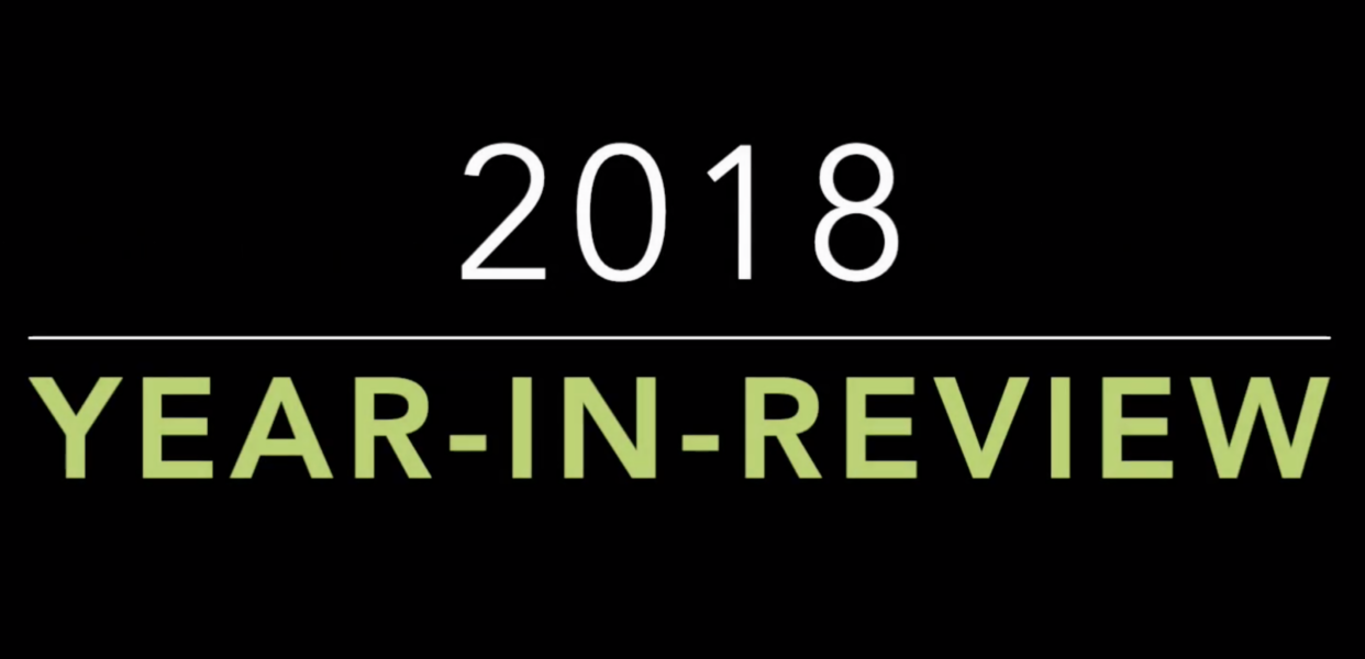 THE BINJ 2018 YEAR-IN-REVIEW