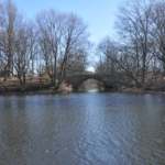 The mouth of Alewife Brook at the Mystic River. The bridge carries the Mystic Valley Parkway bewtween Somerville and Arlington, Massachusetts. Photo by Magicpiano. GNU Free Documentation License 2017 Magicpiano.